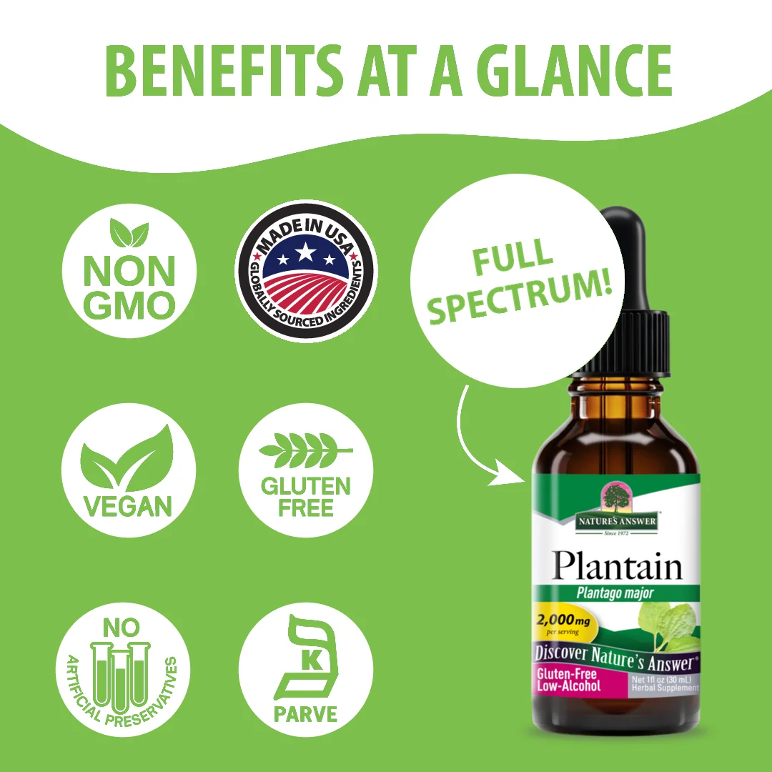 Живовляк (Plantain) 2000 mg Течен екстракт – Nature’s Answer (30 мл)